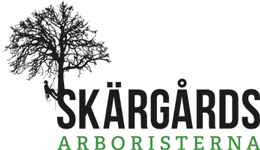 Skärgårdsarboristerna